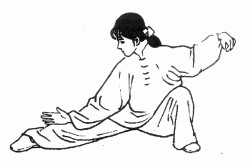 estilos-wushu_WUSHU-TAOLU_WUSHU-SANSHOU_WUSHUSUAIJIAO-250x167