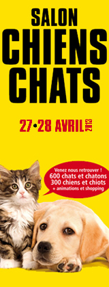 salon-chien-chat-expo