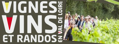 vignes-vins-randos