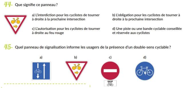 100 questions pour la route : cahier de vacances pour automobilistes (2015)