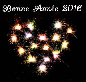 bonne année 2016