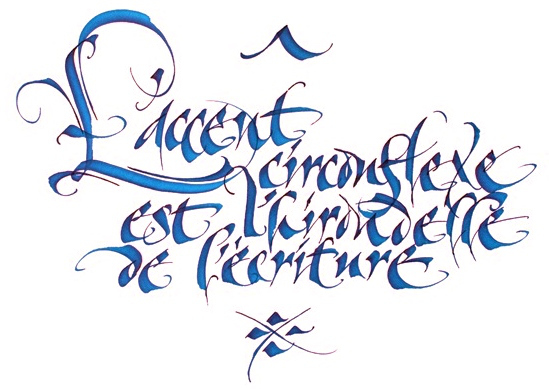 accent-circonflexe-hirondelle