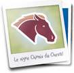 signe-chinois-cheval