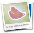 signe-chinois-cochon