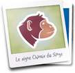 signe-chinois-singe