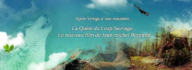 la-quete-du-loup-sauvage